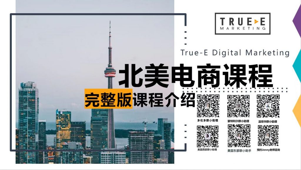北美电商完整版-亚马逊FBA-亚马逊A9算法-Shopify电商-独立站建站